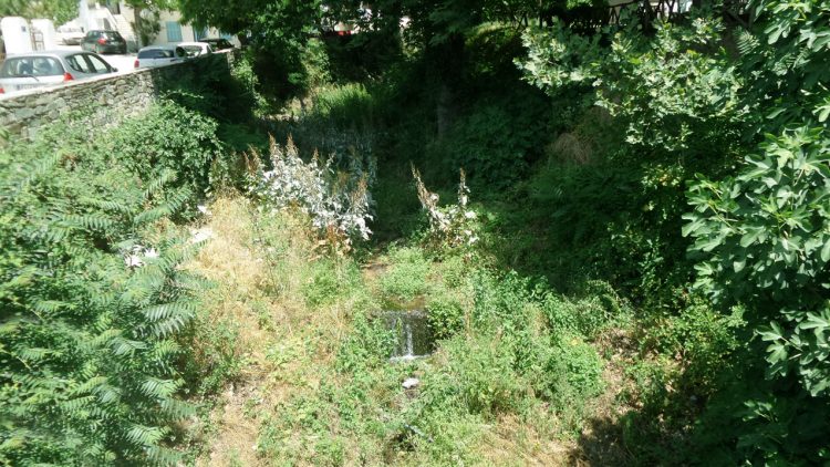 Η Πανελλήνια Ομοσπονδία Ιδιοκτητών Ακινήτων ζητά την επανεξέταση των μέτρων πυροπροστασίας – καθαρισμό οικοπέδων