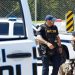 Νέο μακελειό στις ΗΠΑ: Πυροβολισμοί σε πάρτι – Τουλάχιστον δύο νεκροί