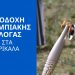 Τα Τρίκαλα υποδέχονται την Ολυμπιακή Φλόγα για τους Ολυμπιακούς Αγώνες του 2024