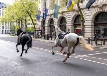 Σκηνές «Φαρ Ουέστ» στο Λονδίνο: Άλογα τρέχουν ελεύθερα στο κέντρο της πόλης