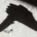 Κρήτη: Την απειλούσε με μαχαίρι για να μην δώσει φαγητό στους γονείς της – «Θα μετρήσω τα γεμιστά»