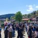 Γιορτή του Μανιταριού στη Λίμνη Πλαστήρα
