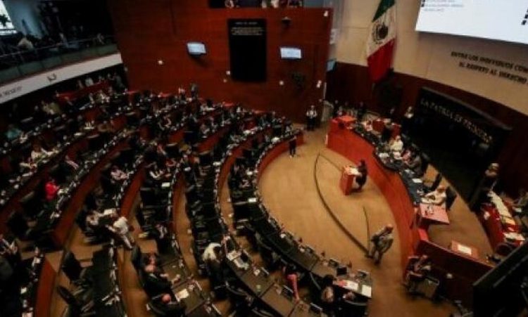 Μεξικό: Μια κότα θυσιάστηκε στο θεό της βροχής μέσα στη μεξικανική Γερουσία
