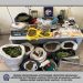 Αστυνομικοί εντόπισαν 2 ειδικά διαμορφωμένους χώρους υδροπονικής καλλιέργειας κάνναβης και κατάσχεσαν μεγάλες ποσότητες ναρκωτικών