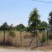 Κάλεσμα για καθαρισμό των οικοπέδων απευθύνει ο Δήμος Τρικκαίων