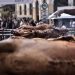 Καιρός: Aνάσταση… με ομπρέλες: Με τι καιρό θα ψήσουμε τον οβελία το Πάσχα
