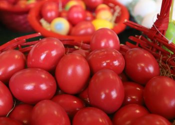 Μυτιλήνη: Το φυτό που χρησιμοποιούσαν οι φτωχοί για τη βαφή των κόκκινων αυγών