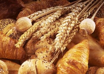 Τρίκαλα: Ζητείται πωλήτρια από γνωστό αρτοποιείο της πόλης