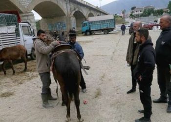 Φιλόζωοι διέλυσαν το γομαροπάζαρο στον Τύρναβο