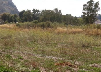 Ακαθάριστα οικόπεδα: Πότε τελειώνει η προθεσμία για τη σύνταξη εντύπου αξιολόγησης επικινδυνότητας