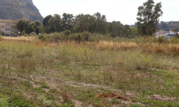 Ακαθάριστα οικόπεδα: Πότε τελειώνει η προθεσμία για τη σύνταξη εντύπου αξιολόγησης επικινδυνότητας