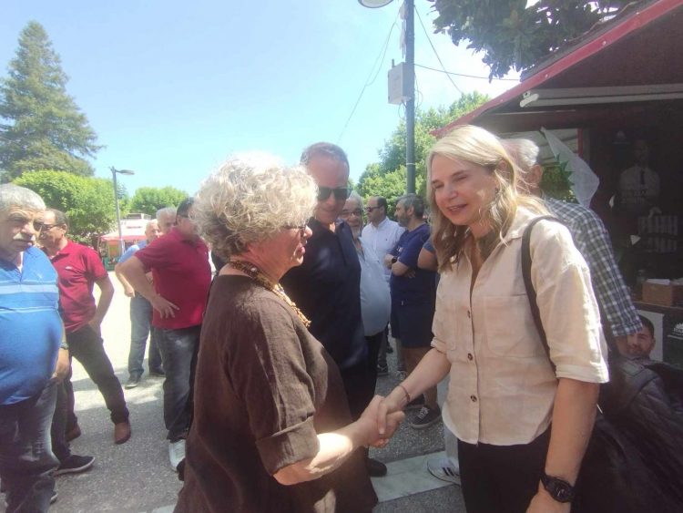 Δριμεία κριτική στην κυβέρνηση άσκησε από τα Τρίκαλα η Μιλένα Αποστολάκη
