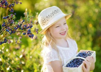 Blueberries (μύρτιλα) και παιδιά: Οφέλη, διατροφική αξία και συνταγές