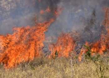 Πρόστιμο σε άνδρα για την πρόκληση πυρκαγιάς στα Μεγάλα Καλύβια Τρικάλων