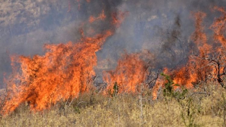 Πρόστιμο σε άνδρα για την πρόκληση πυρκαγιάς στα Μεγάλα Καλύβια Τρικάλων