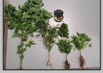 Άλλες 9 συλλήψεις για ναρκωτικά στη Θεσσαλία, μια εξ αυτών στα Τρίκαλα