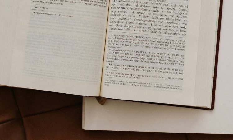Τι σημαίνει η λέξη «φληνάφημα»