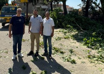 Δήμος Μετεώρων: Μετά από πολλά χρόνια κοπή και απομάκρυνση επικίνδυνων δέντρων σε σχολεία της Καλαμπάκας