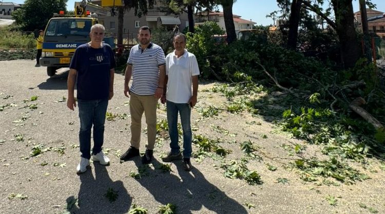 Δήμος Μετεώρων: Μετά από πολλά χρόνια κοπή και απομάκρυνση επικίνδυνων δέντρων σε σχολεία της Καλαμπάκας
