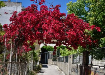 Η Πρέβεζα «έκλεψε» τις εντυπώσεις σε Σερβία, Ολλανδία, Τουρκία, Γερμανία και Ηνωμένα Αραβικά Εμιράτα