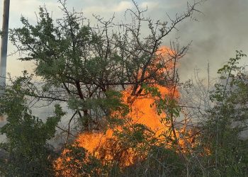 Μικροπυρκαγιές και προβλήματα από τους ανέμους κλήθηκε να αντιμετωπίσει η Πυροσβεστική Υπηρεσία σε διάφορα σημεία του νομού