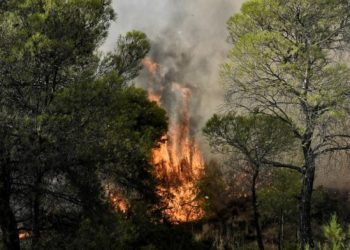 Συναγερμός στην Πυροσβεστική μετά την πυρκαγιά μεταξύ Ορθοβουνίου και Μεγάλης Κερασιάς –Μηνύματα από το 112 σε χιλιάδες κατοίκους του νομού