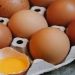 Τα αβγά πρέπει να αποθηκεύονται με ή χωρίς τις χάρτινες θήκες;