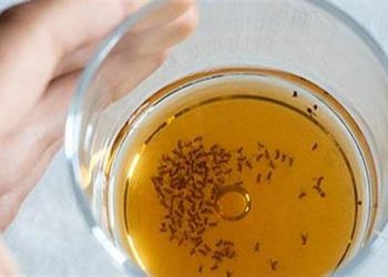 Πώς να απαλλαγείτε από τα μυγάκια: 7 φυσικοί τρόποι