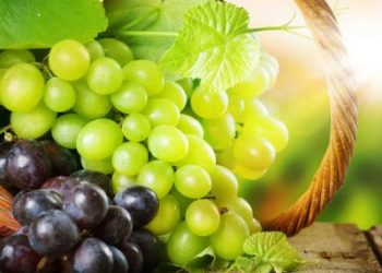 Σταφύλια: Θερμίδες, θρεπτική αξία και οφέλη – Μέχρι πόσα να τρώτε την ημέρα