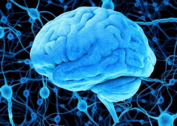 Η πρωτεΐνη που προστατεύει τα κύτταρα από τη νόσο του Πάρκινσον