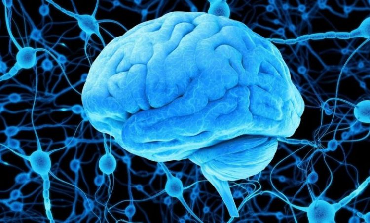 Η πρωτεΐνη που προστατεύει τα κύτταρα από τη νόσο του Πάρκινσον