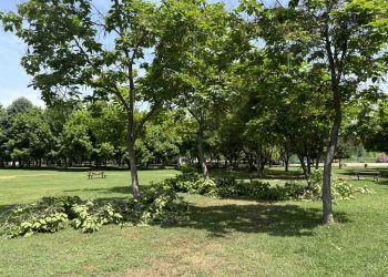 Θερινή ανανέωση στο πάρκο του Αη Γιώργη