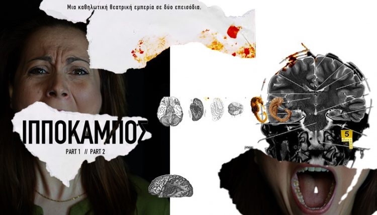 Τετραήμερο παραστάσεων για τον Ιππόκαμπο