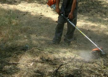 Οι Τρικαλινοί συμμορφώνονται με τον Κανονισμό Καθαρισμού Οικοπέδων: Υψηλή συμμετοχή με ελάχιστες εξαιρέσεις