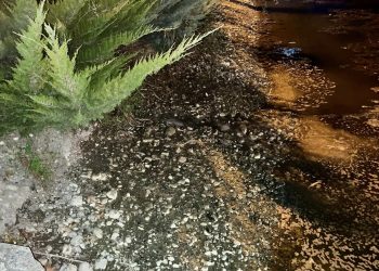 Η λίμνη Γκιτζή εκπέμπει SOS μετά τον παρατεταμένο καύσωνα | Τη γεμίζουν με βυτιοφόρα για να αποφευχθεί η περιβαλλοντική καταστροφή