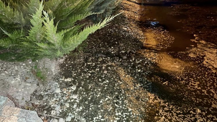 Η λίμνη Γκιτζή εκπέμπει SOS μετά τον παρατεταμένο καύσωνα | Τη γεμίζουν με βυτιοφόρα για να αποφευχθεί η περιβαλλοντική καταστροφή