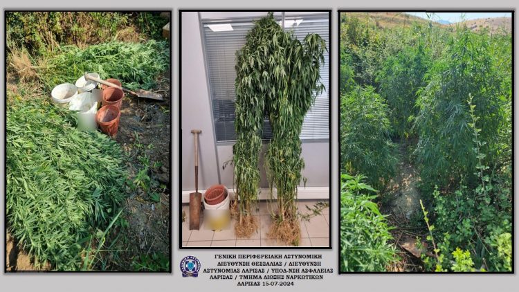 Δεκαπέντε συλλήψεις για ναρκωτικά το τελευταίο δεκαήμερο
