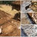 Συναγερμός στα Τρίκαλα για την πανώλη: Έθαψαν ζωντανά αιγοπρόβατα – Κίνδυνος για τη δημόσια Υγεία (Photos)