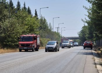 Μεγάλη κινητοποίηση της Πυροσβεστικής σε τρία μεγάλα πύρινα μέτωπα στο Άλσος του Προφήτη Ηλία, Κηπάκι και Μπαλκούρα