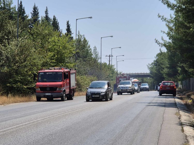 Μεγάλη κινητοποίηση της Πυροσβεστικής σε τρία μεγάλα πύρινα μέτωπα στο Άλσος του Προφήτη Ηλία, Κηπάκι και Μπαλκούρα