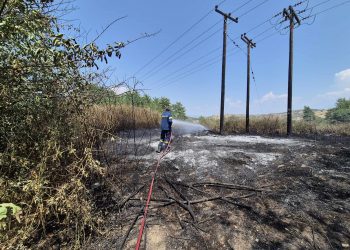 Μεγάλη κινητοποίηση της Πυροσβεστικής σε τρία μεγάλα πύρινα μέτωπα στο Άλσος του Προφήτη Ηλία, Κηπάκι και Μπαλκούρα