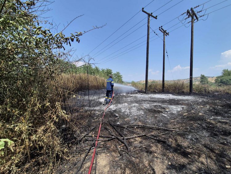Μεγάλη κινητοποίηση της Πυροσβεστικής σε τρία μεγάλα πύρινα μέτωπα στο Άλσος του Προφήτη Ηλία, Κηπάκι και Μπαλκούρα