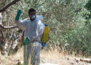 Περιφέρεια Θεσσαλίας: Διενέργεια γενικού δολωματικού ψεκασμού στους Δήμους Τεμπών και Ελασσόνας
