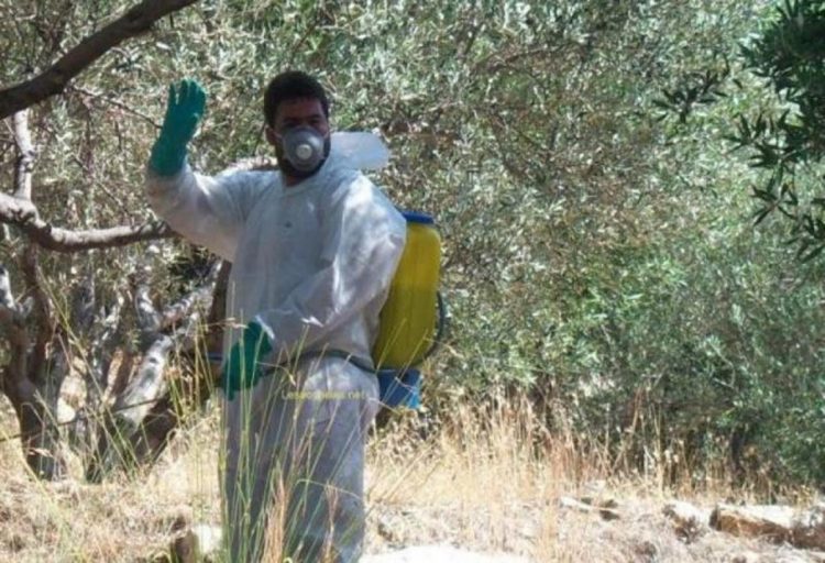 Περιφέρεια Θεσσαλίας: Διενέργεια γενικού δολωματικού ψεκασμού στους Δήμους Τεμπών και Ελασσόνας