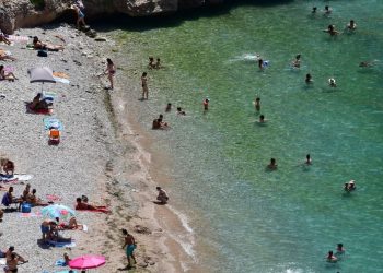 Επικίνδυνο καλοκαίρι: Τα ψάρια – «δολοφόνοι» των ελληνικών θαλασσών