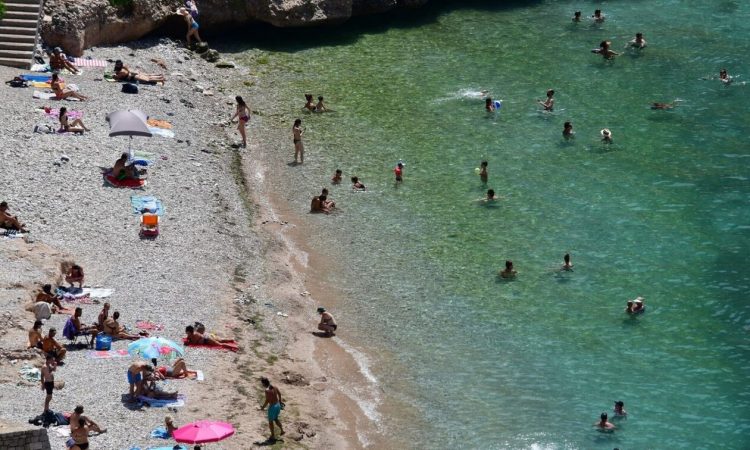 Επικίνδυνο καλοκαίρι: Τα ψάρια – «δολοφόνοι» των ελληνικών θαλασσών