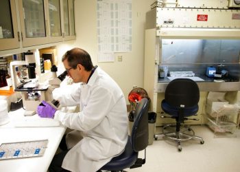 Η διαλειμματική δίαιτα μπορεί να επιμηκύνει το προσδόκιμο ζωής