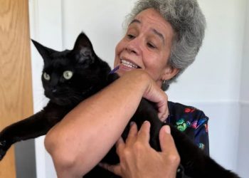 Πώς μπορεί η Τεχνητή Νοημοσύνη να σώζει τη ζωή του κατοικιδίου σου