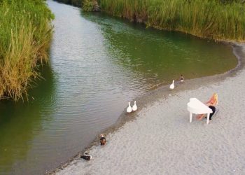 Απίστευτο Συμβάν στην Κρήτη! Πάπιες Σαγηνεύονται από τη Μουσική της Ιπτάμενης Πιανίστριας Έλενας Ξυδιά