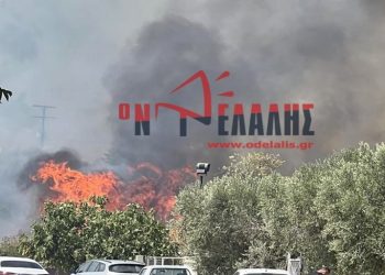 Φωτιά στο Λιτόχωρο Πιερίας – Ήχησε το 112